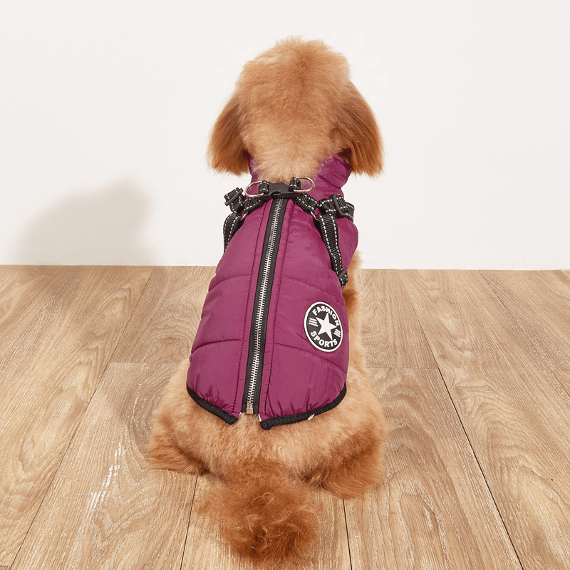 🎅Waterproof Winter Dog Jacket with Built-in Harness